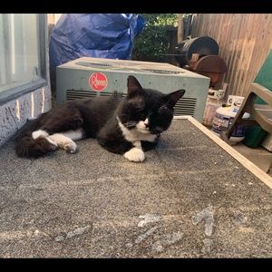 Meet your Posher, Maggie